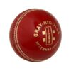 Gray Nicolls International 4 Pc Cricket Ball