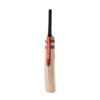 Gray-Nicolls Pro Performance Bat